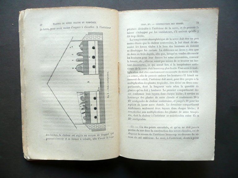 Plantes de Serre Chaude et Temperee G. Delchevalerie Maison Rustique …