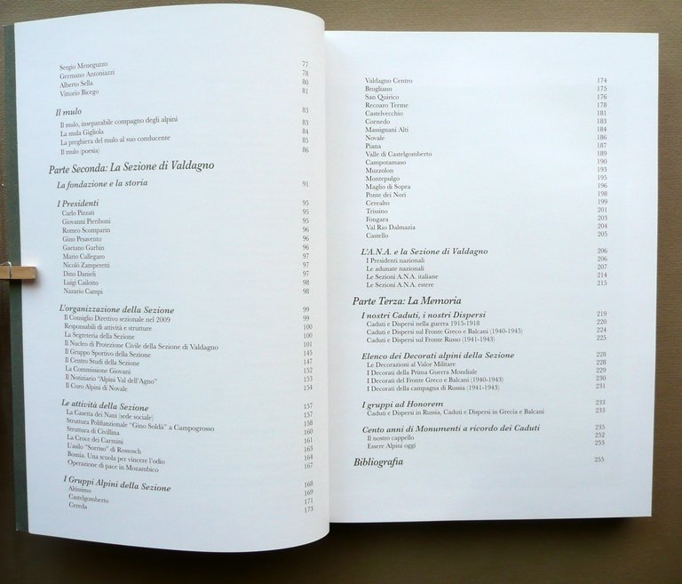 Primissima Valdagno Accolse gli Alpini d'Italia Ass. Nazionale Alpini 2009 | Immagine Gallery 3