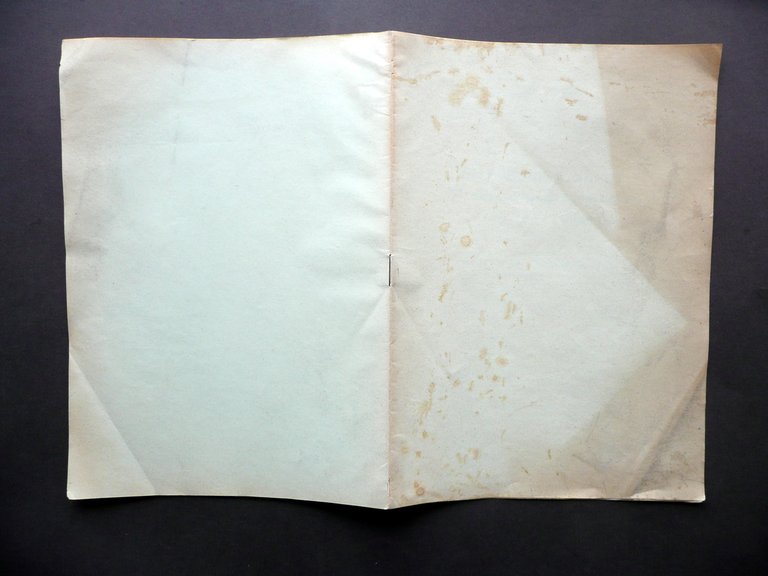 Primo Rinvenimento di Odontoceto nello Schlier Appennino Modenese Montanaro 1934