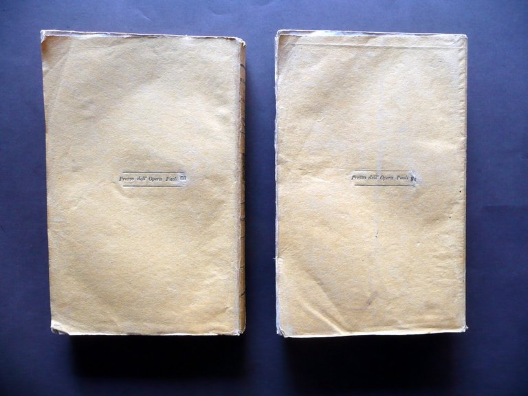 Principi di Patologia e Terapia Medica Speciale Raimann Antonelli 1843 …