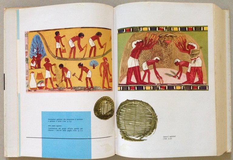 Profeti Posteriori Testo Ebraico a Fronte Stab. Grafico Marietti Torino …