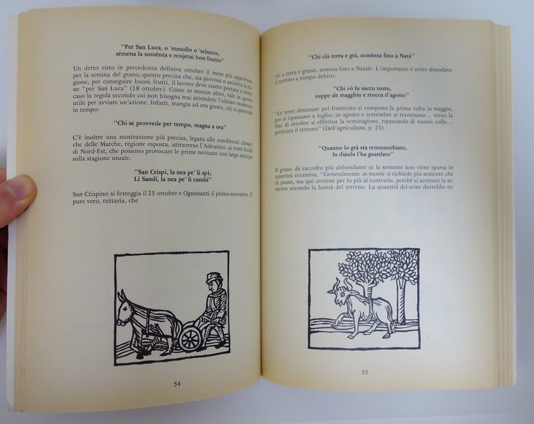 PROVERBI MARCHIGIANI COMMENTATI CARLO VERDUCCI MARCHE IL VESPRO 1980 | Immagine Gallery 2