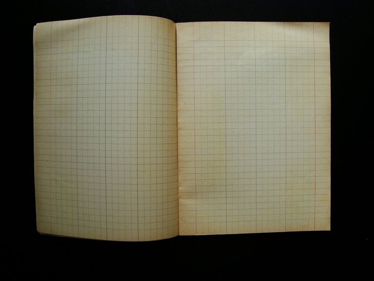 Quaderno scolastico non scritto Organizzazione Giovanile Fascista | Immagine Gallery 2