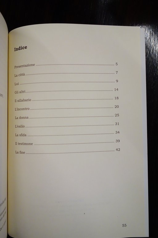 QUELLA MODENA DI DELFINI MAGLIETTA POLLARI IL FIORINO 2003