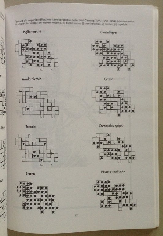 R. Groppali Gli Uccelli Nidificanti e Svernanti Nella Citt‡ Di …