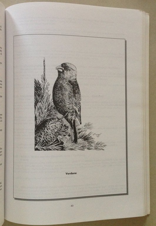 R. Groppali Gli Uccelli Nidificanti e Svernanti Nella Citt‡ Di …