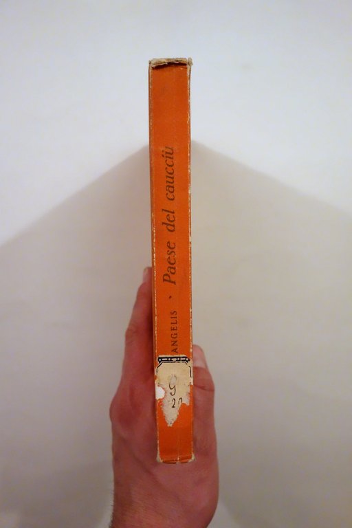 R. M. De Angelis Paese del Caucci˘ Viaggio in Brasile … | Immagine Gallery 2