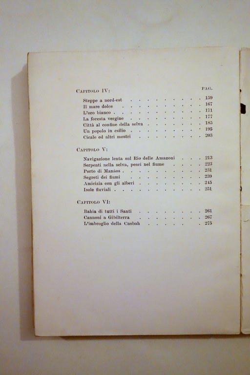 R. M. De Angelis Paese del Caucci˘ Viaggio in Brasile … | Immagine Gallery 5