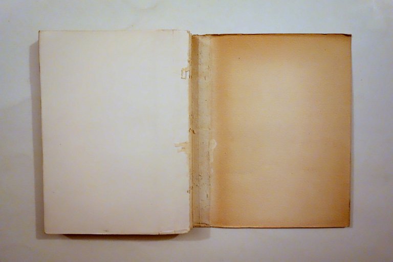 R. M. De Angelis Paese del Caucci˘ Viaggio in Brasile … | Immagine Gallery 6