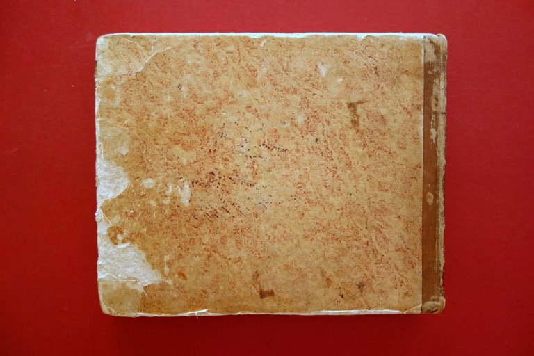 Raccolta di 100 Vedute Principali d'Italia Pubblicate da G. Zecchi …