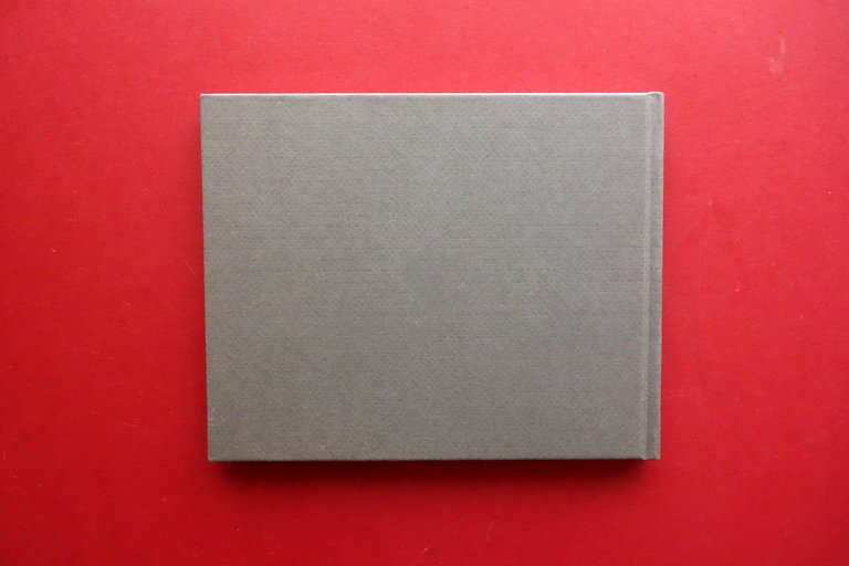 Raffaele Verolino Tappeti del Novecento 1920-1960 Arti Grafiche Trassini | Immagine Gallery 2