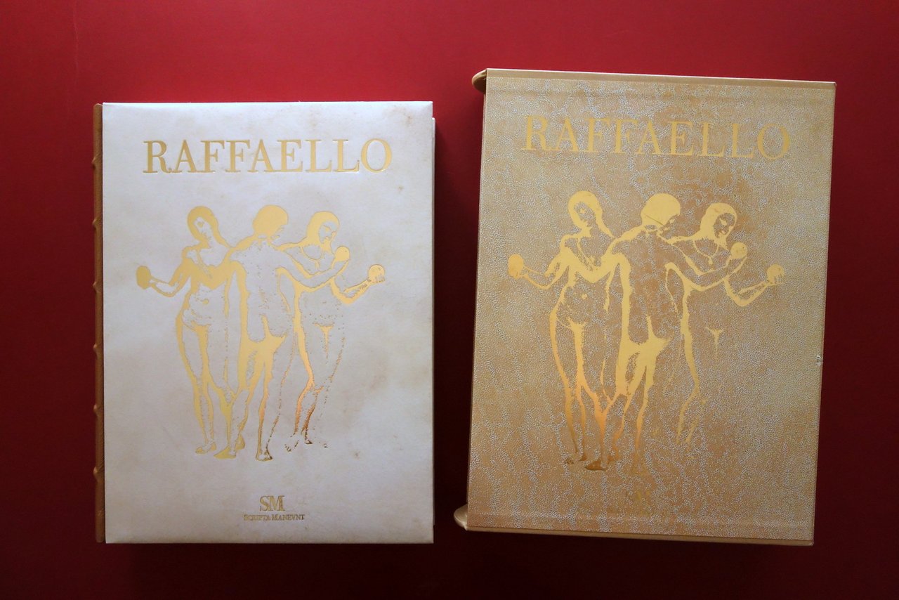 Raffaello Universale Claudio Striniati Scripta Maneant Reggio Emilia 2010