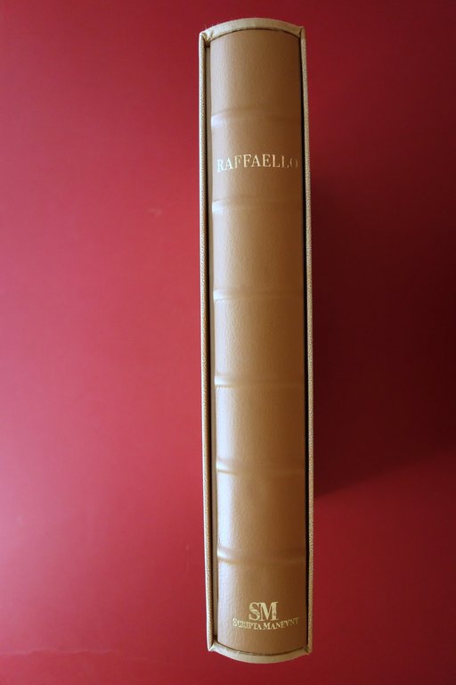 Raffaello Universale Claudio Striniati Scripta Maneant Reggio Emilia 2010