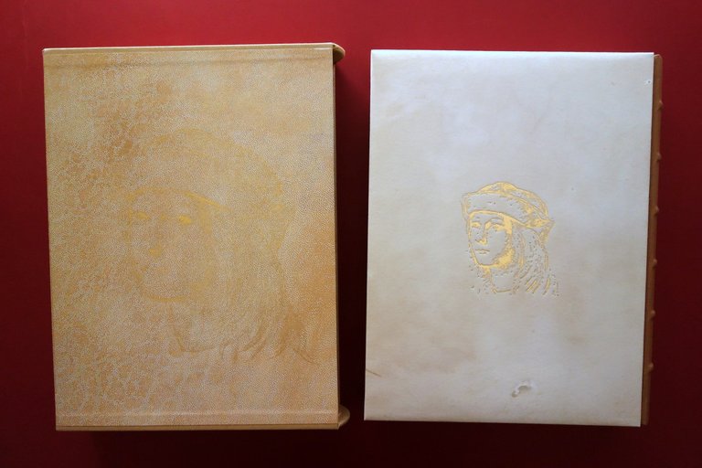 Raffaello Universale Claudio Striniati Scripta Maneant Reggio Emilia 2010