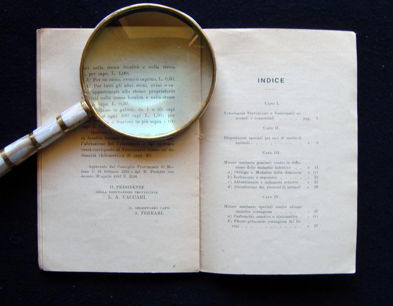 Regolamento di Polizia Sanitaria Zooiatrica provincia di Modena 1912 Ferraguti