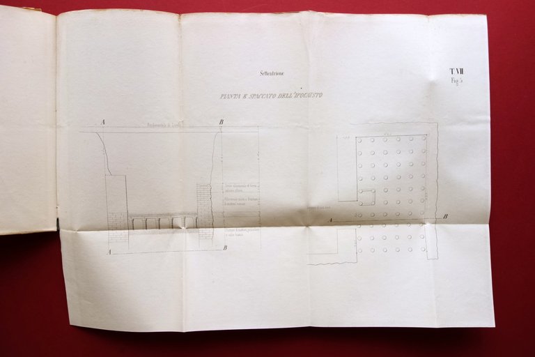 Relazione degli Scavi Eseguiti in Modena nel 1844-45 7 Tavole …