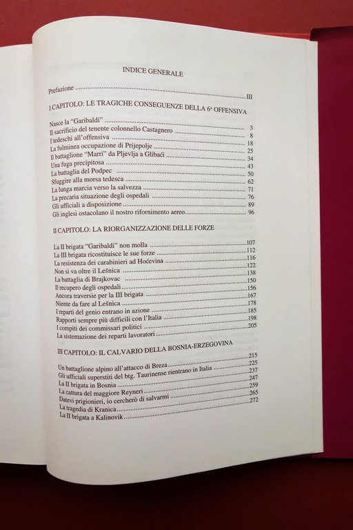 Resistenza dei Militari Italiani all'Estero Divisione Garibaldi Roma 1994