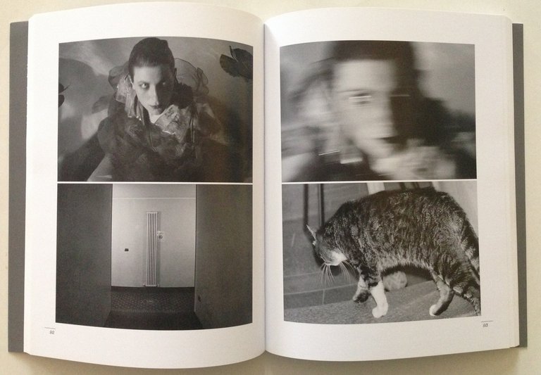 Rinaldi Roda Giallo Noir e Perturbante Esercizi Fotografia Narrativa Ed …