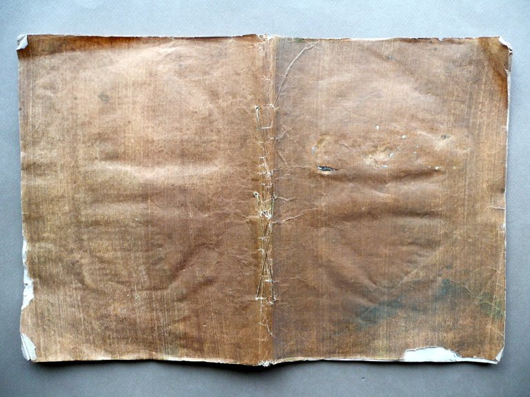 Risposta alle Riflessioni contro il Diploma Filippo e Andrea Rangoni … | Immagine Gallery 2