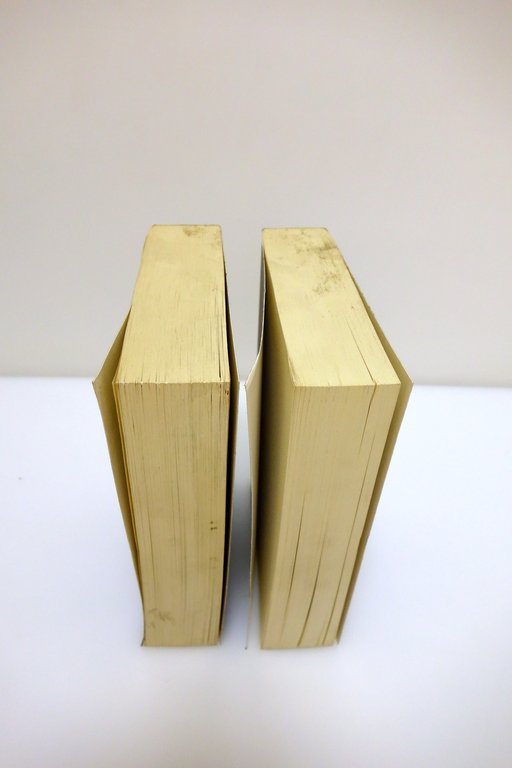 SAGGI MONTAIGNE GARAVINI ADELPHI 1998 DUE VOLUMI