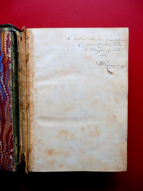 Salaminia Cyprus History Treasures Antiquities of Salamis A. Palma Trubner …