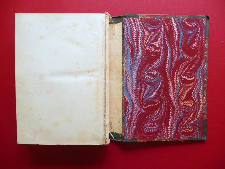 Salaminia Cyprus History Treasures Antiquities of Salamis A. Palma Trubner …