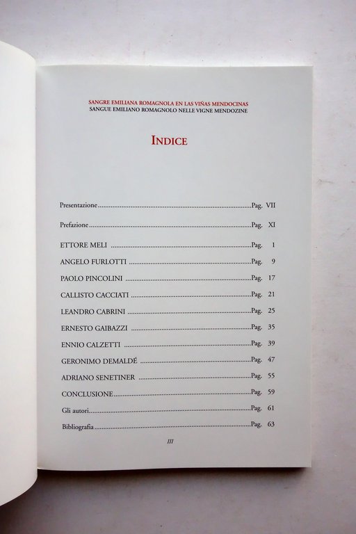 Sangue Emiliano Romagnolo nelle Vigne Mendozine Montero Cepparo 1997 Emigrazione