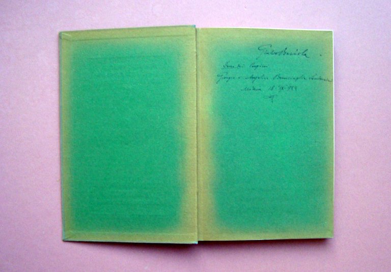 Schottmuller Frida Bronze Staturtten und Gerate Berlin 1921 bella rilegatura