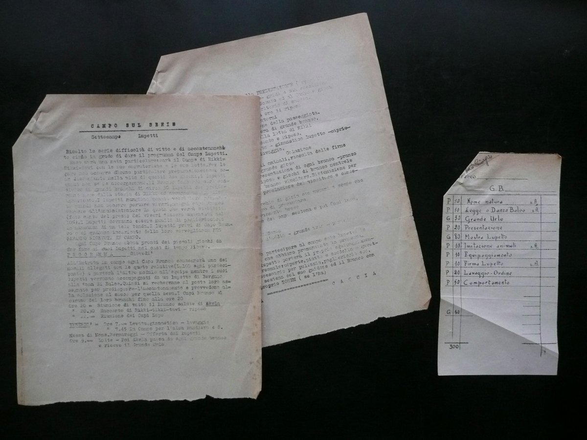 Scout Ciclostilato Campo Sul Serio Sottocampo Lupetti Programma Anni '50