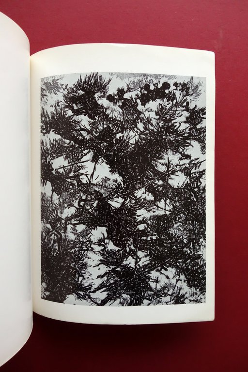 Sette Pittori d'Oggi Barbaro Borsato Paolucci Gambino Antibiennale Venezia 1960