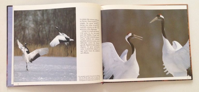 Sigeaki Sasamori Les Quatre Saisons des Grues du Japon l'Ecole …