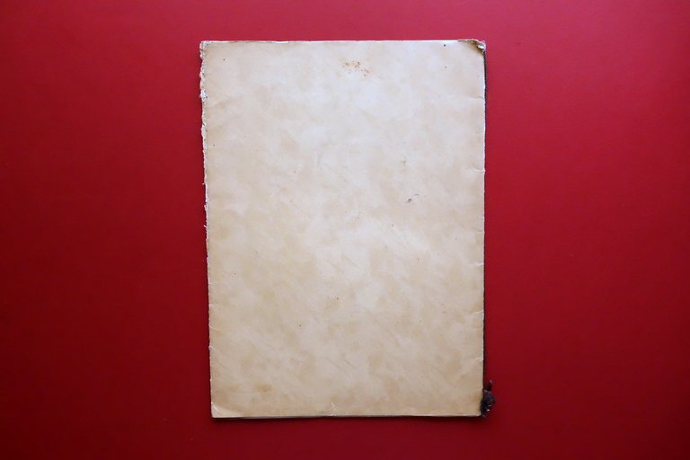 Societ‡ Promotrice di Belle Arti Genova Compenso Soci 1903 Pellizza …