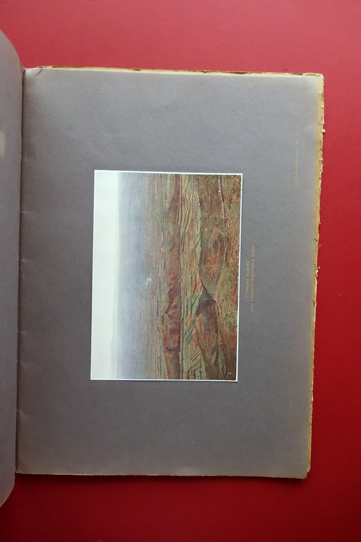 Societ‡ Promotrice di Belle Arti Genova Compenso Soci 1903 Pellizza …