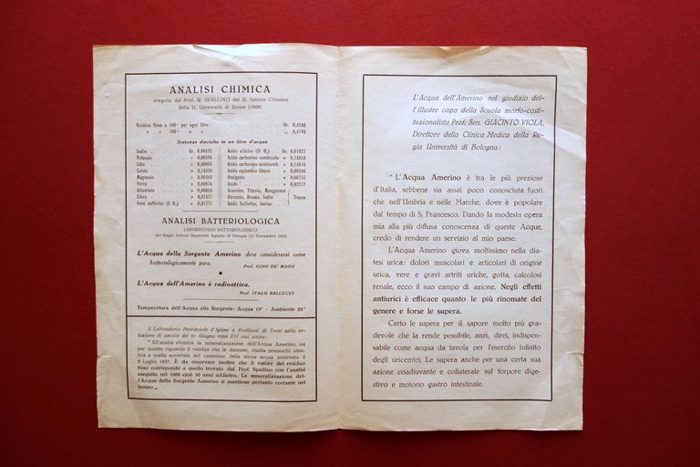 Sorgente dell'Amerino Acquasparta Terni Umbria Pieghevole Illustrato Primo '900 | Immagine Gallery 2