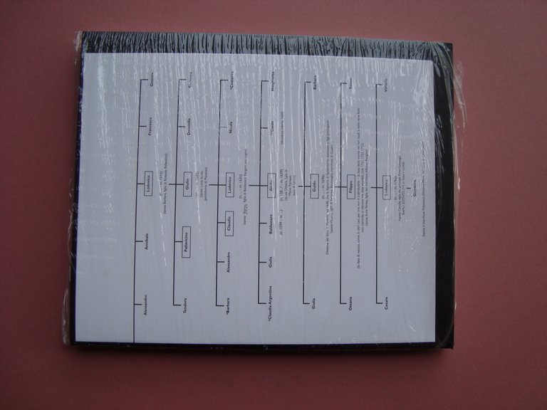 Spilamberto e la sua Rocca Silvana Editoriale tavola genealogica