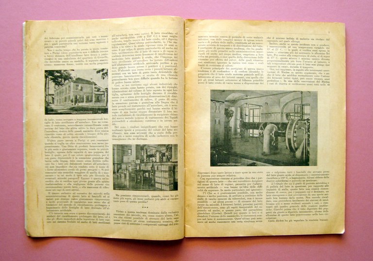 Stassano Della Conservazione e del Risanamento del latte 1933 Milano | Immagine Gallery 4