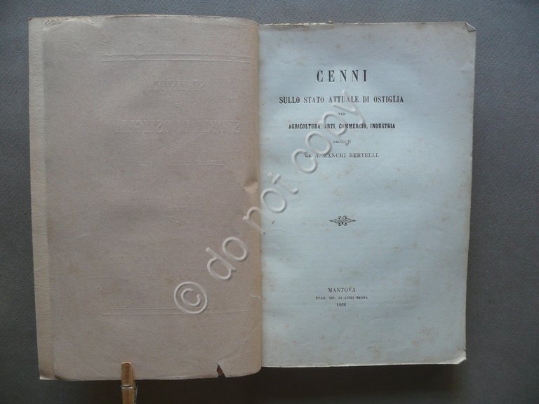 Statistica e Storia di Ostiglia Antonio Zanchi Bertelli Luigi Segna …