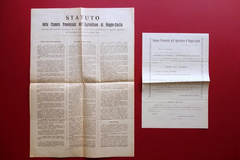 Statuto Camera Provinciale Agricoltura di Reggio Emilia 1921 Foglio Delega Voto