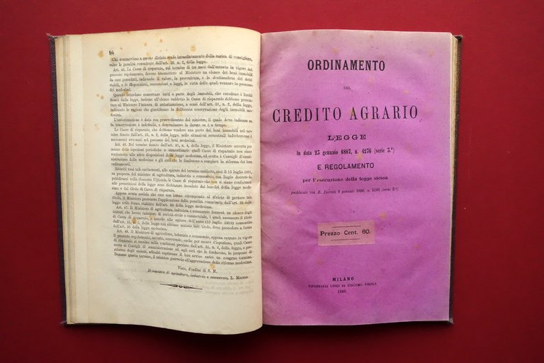 Statuto e Regolamento della Cassa di Risparmio di Modena 1890 … | Immagine Gallery 3