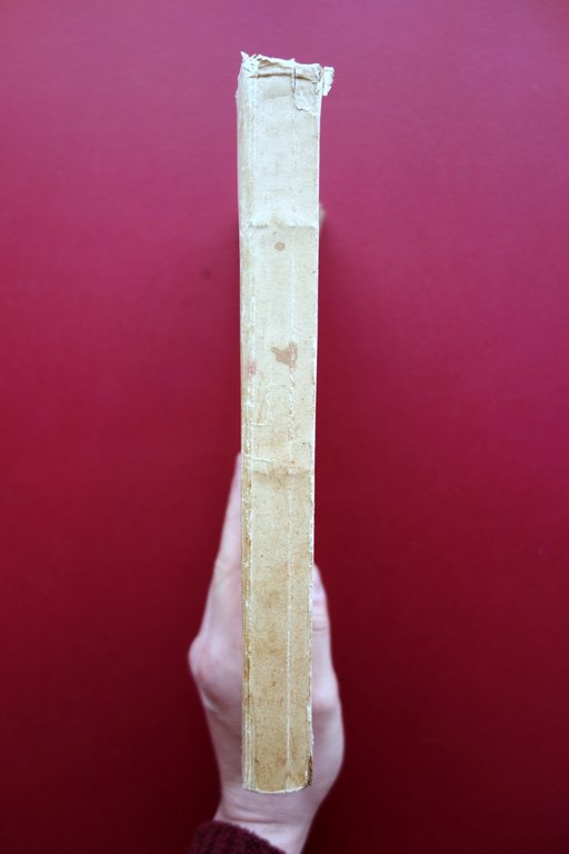 Storia degli Ordini Equestri Vigenti ed Estinti Guadagnini Ferrari 1925 … | Immagine Gallery 3