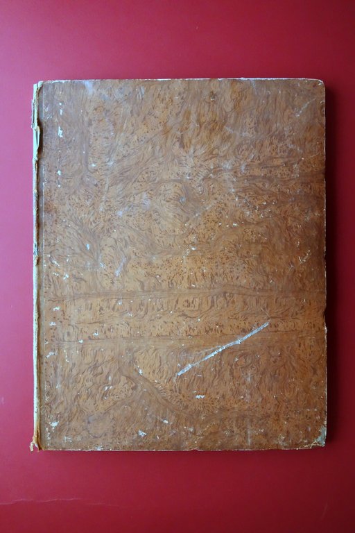 Storia e Descrizione dell'Antica Certosa di Ferrara F. Canonici Minelli …