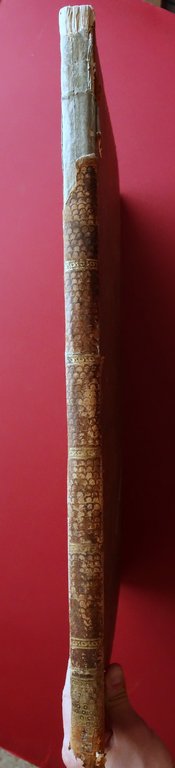 Storia e Descrizione dell'Antica Certosa di Ferrara F. Canonici Minelli …