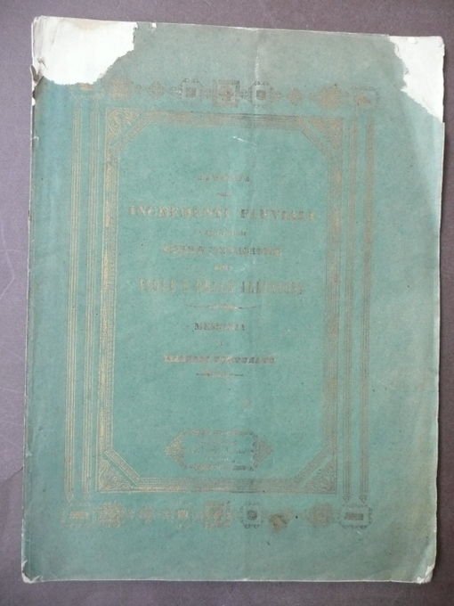 Storia Locale Casalmaggiore Rovigo Borgoforte Carbonara Fiume Po Idraulica 1854