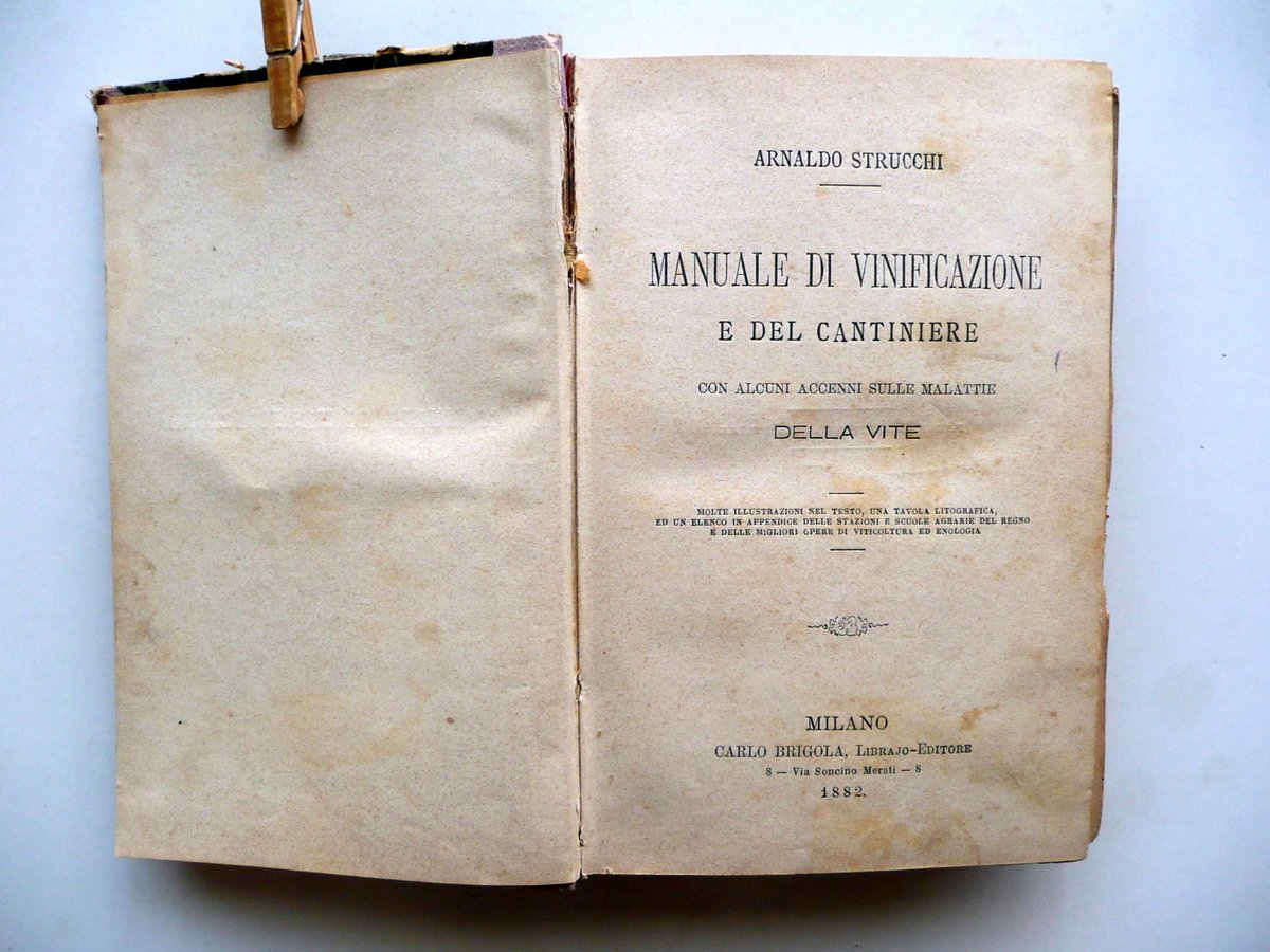 Strucchi Manuale Vinificazione Coltivazione Vite Produzione Vino 1882-84 3 Opere