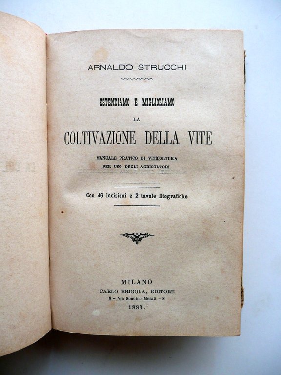 Strucchi Manuale Vinificazione Coltivazione Vite Produzione Vino 1882-84 3 Opere