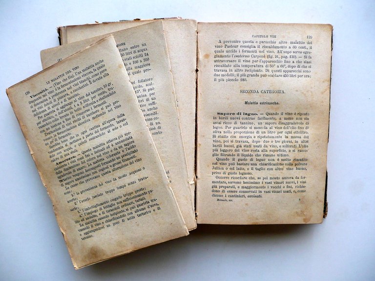 Strucchi Manuale Vinificazione Coltivazione Vite Produzione Vino 1882-84 3 Opere