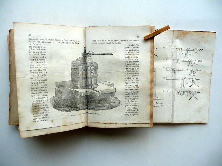 Strucchi Manuale Vinificazione Coltivazione Vite Produzione Vino 1882-84 3 Opere