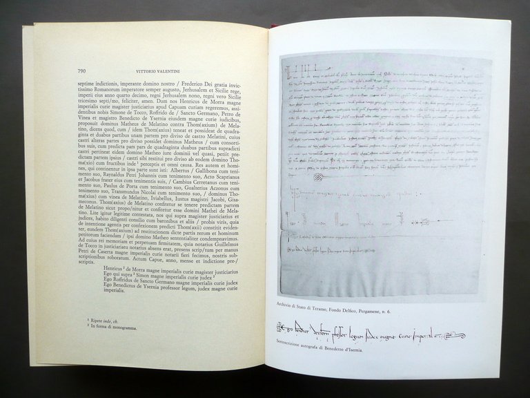 Studi in Memoria di Mario E. Viora Fondazione Sergio Mochi … | Immagine Gallery 7