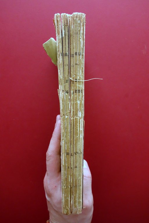 Studi Linguistici di B. Biondelli Tip. Bernardoni Milano 1856 Linguistica … | Immagine Gallery 3