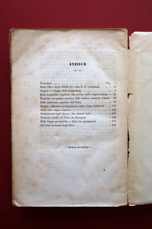 Studi Linguistici di B. Biondelli Tip. Bernardoni Milano 1856 Linguistica … | Immagine Gallery 7